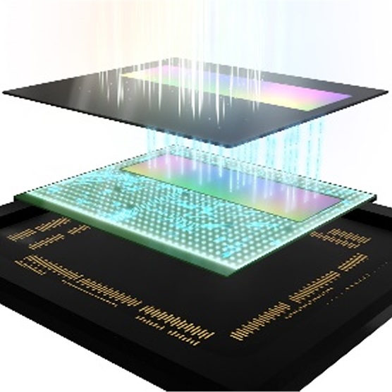 Single Photon Avalanche Diodes (SPADs)