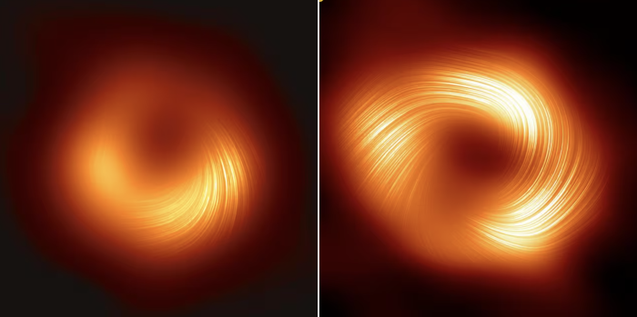 Black Holes & Strong Gravity